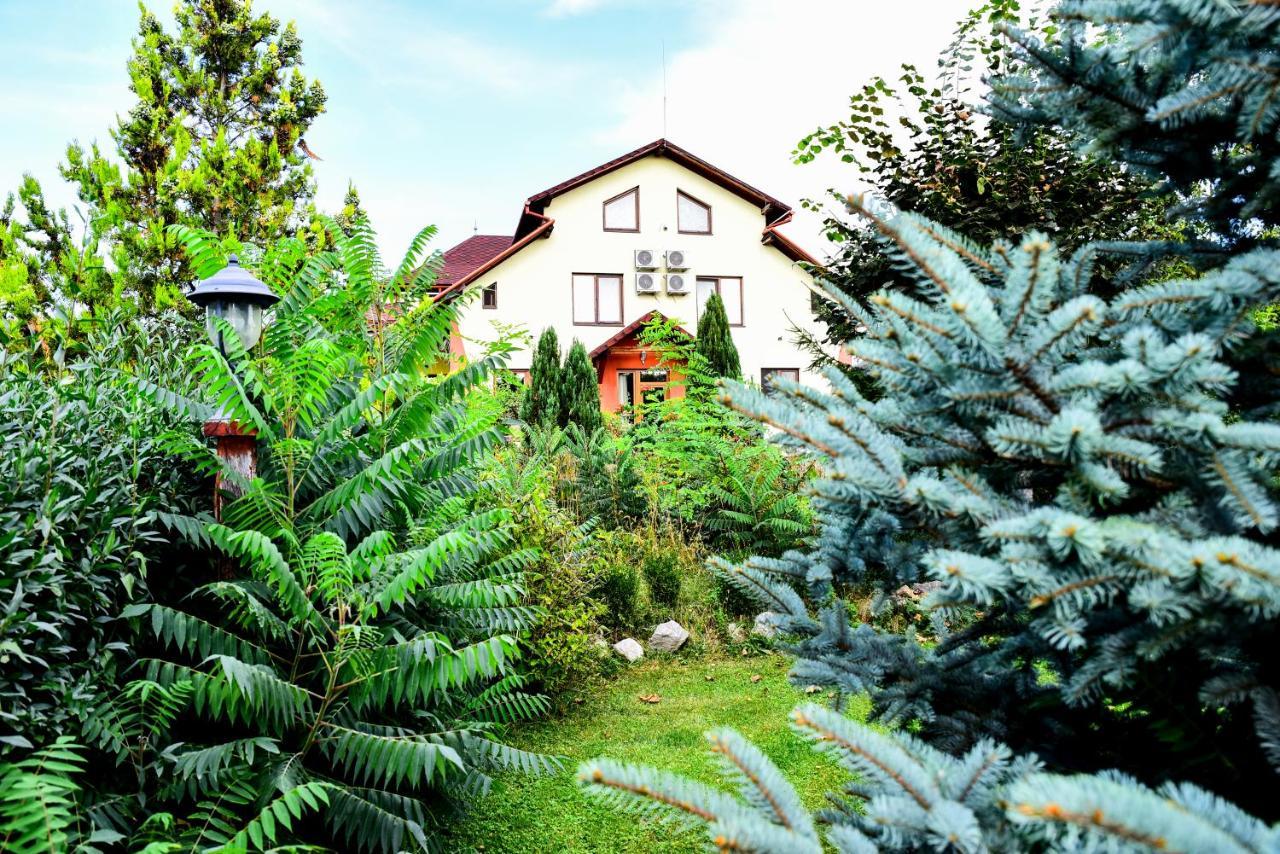 Casa Moteasca Hotel Mihai Viteazu  Bagian luar foto