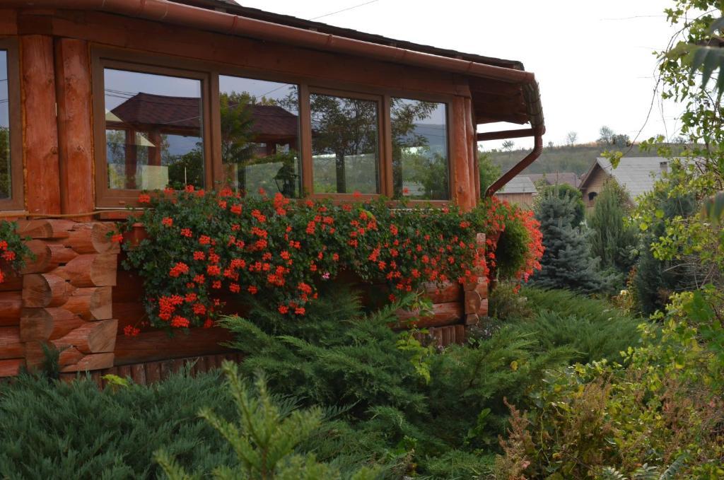 Casa Moteasca Hotel Mihai Viteazu  Bagian luar foto