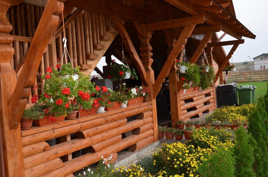 Casa Moteasca Hotel Mihai Viteazu  Bagian luar foto